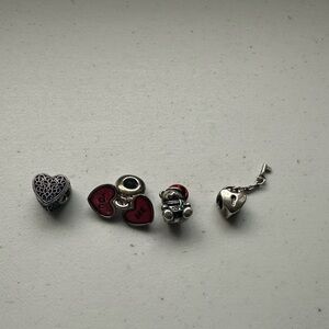 Pandora Charms